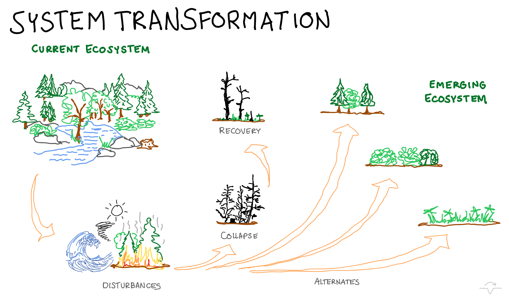 System Transformation illustration